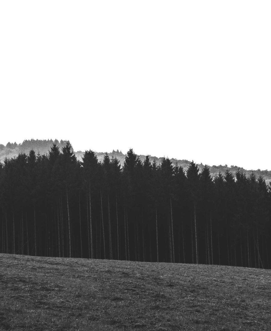 Photography Preset Pack